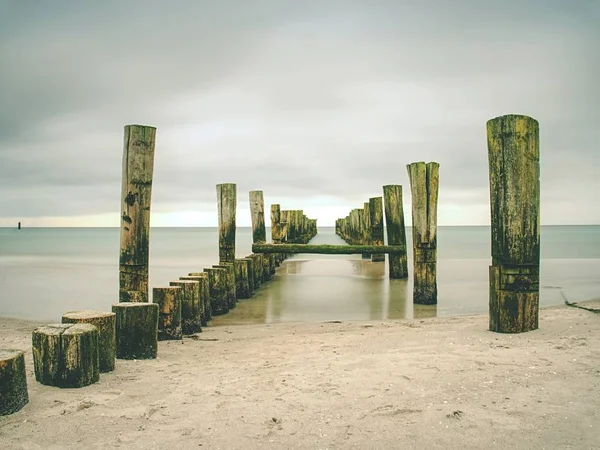 Yumuşak su içinde rüzgarsız Deniz yosunlu dalgakıran Polonyalılar. Sandy beach — Stok fotoğraf