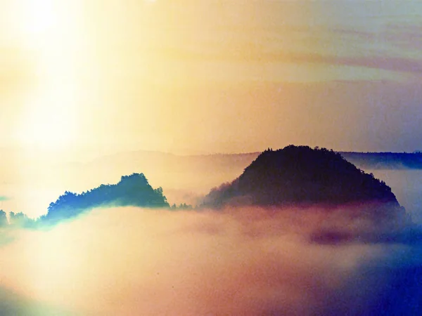 Abstrakte Wirkung. Nebelschwaden Blick ins schöne Tal. Sandsteingipfel im dichten Nebel — Stockfoto