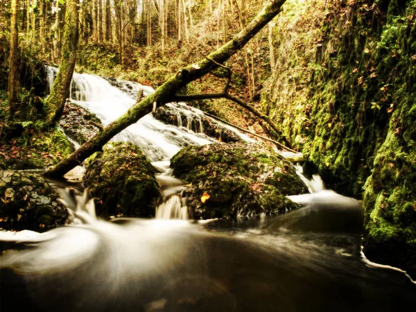 Abstract effect. Rapids on small mountain stream between mossy  basalt rocks. Blurred water waves — Stock Photo, Image