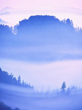 Rüya gibi manzara kalın siste kaybettim. Harika sabah yumuşak güneş ışığı tarafından sisli vadinin parlayan.