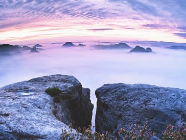 Keskin kumtaşı kenar üzerinde uzun vadide ilk sonbahar sis tam görüntüleyin. Sisli orman Vadisi Milli park ben