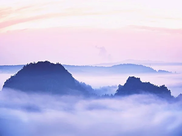 Paysage rêveur perdu dans un épais brouillard. Fantastique matinée rayonnante de lumière douce, vallée brumeuse . — Photo