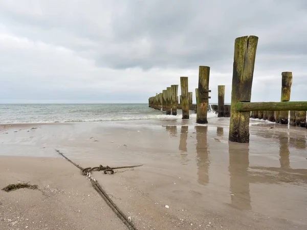 Postes musgosos del rompeolas en el agua lisa del mar dentro sin viento. Playa de arena — Foto de Stock