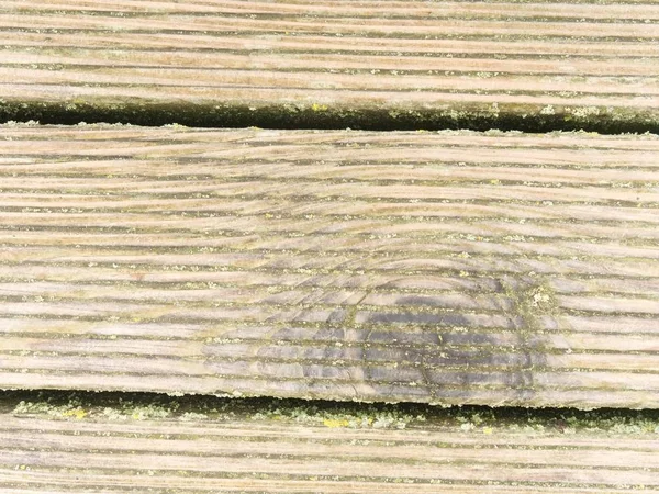 Tablero de madera dura húmeda con la intemperie resiste superficie. Piso del muelle playa de madera —  Fotos de Stock