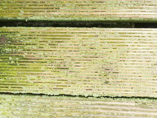 緑のコケや地衣類のカバーと木製の床を自然な納屋。堅い木製の板やボード — ストック写真