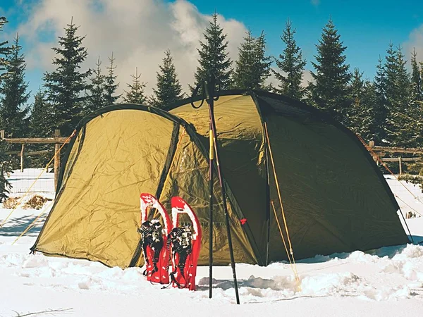 Winter camping on snow in the forest. Green tent hidden between trees.