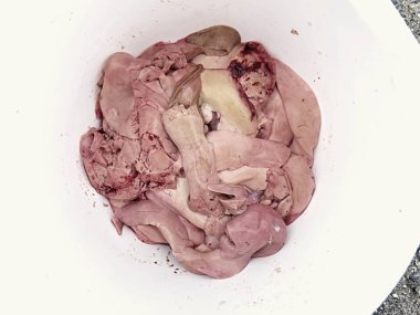 Taze balık cesaret. Morina karaciğer gri plastik kapta kumlu yerde toplamak.