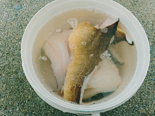 新鲜鱼片在水中。在桶里生的鳕鱼鱼牛排。食品工业, 肉类加工. — 图库照片