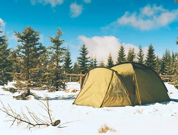 Tent in winter landscape. Trekking tent, poles, red  snowshoes on snow between trees