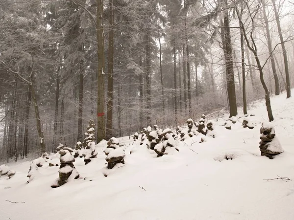 Forêt d'hiver : branches d'arbres recouvertes d'une épaisse couche de neige — Photo