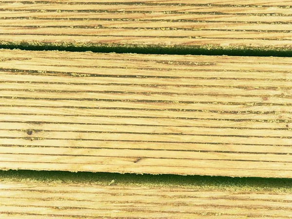堅木張りの床の表面処理殺菌と殺虫剤シーラー. — ストック写真
