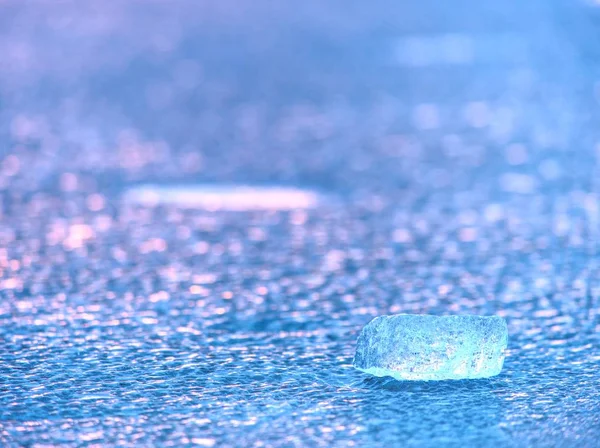 Shiny cold ice pieces on clear ice floe. Structure of natural ice in selective focus — Stock Photo, Image