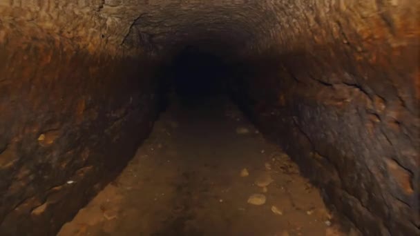 Durch Tunnel Gehen Dunkler Leerer Pfad Führt Durch Die Höhle — Stockvideo