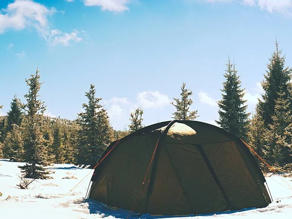 Vintercamping på sne i skoven. Grønt telt skjult mellem træer . - Stock-foto