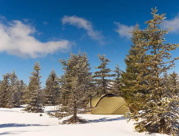 Tienda en el paisaje de invierno. Tienda de trekking, postes, raquetas de nieve rojas en la nieve entre árboles — Foto de Stock