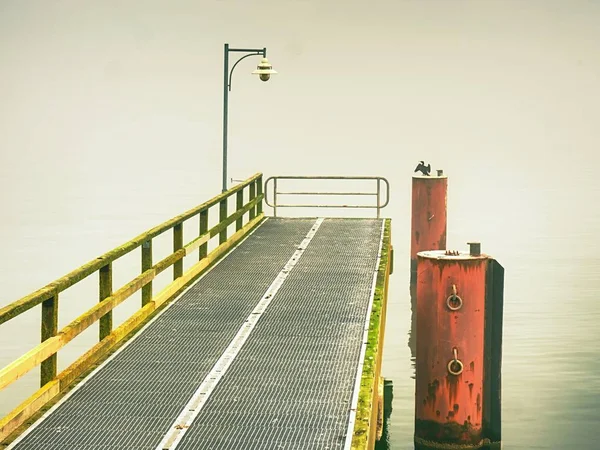 Harbor boş çelik köstebek. Çelik Ocak ızgarası kurulu. Kutup siyah karabatak sit. — Stok fotoğraf