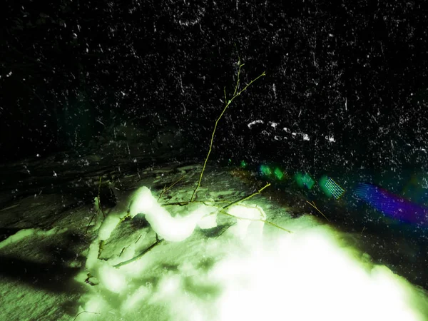 Abstrakta. Spöklika natt i vinter skog täckt av snö. Shinning isiga grenar — Stockfoto