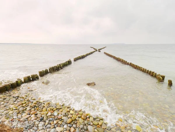 Rompeolas de madera en el mar Báltico ondulado. Tarde en el mar ondulado suave. Nubes bajas — Foto de Stock