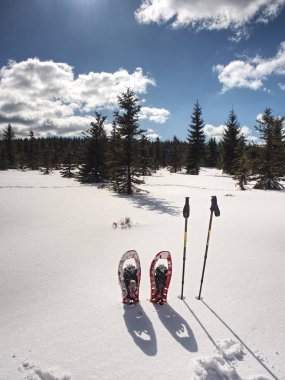 Trek için kış donatım: kar ayakkabıları ve trekking direkleri. 