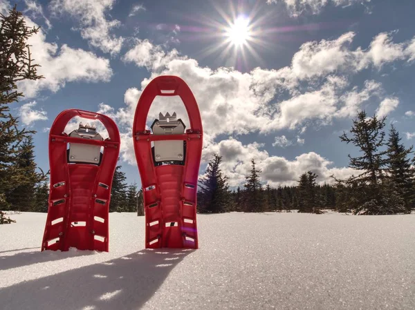 Trekking tält, polacker, röda snöskor på snö mellan träden i bergen — Stockfoto