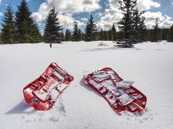 Снігоступи, що стоять у снігу на тлі засніжених пагорбів і гір . — стокове фото