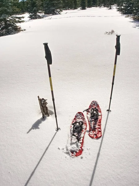 Tienda de trekking, postes, raquetas de nieve rojas en la nieve entre los árboles en las montañas —  Fotos de Stock