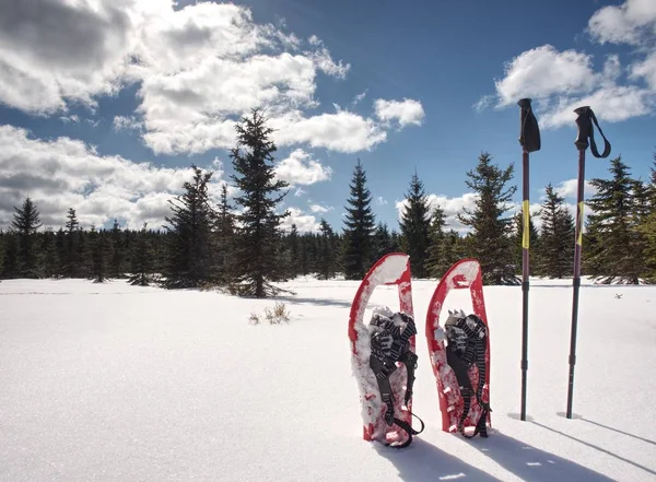 Raquetas de nieve rojas y bastones de trekking listos en la nieve, vacaciones de invierno en las montañas . — Foto de Stock