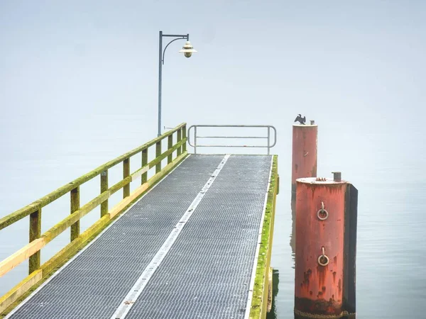 Harbor terk edilmiş çelik köstebek. . Siyah kuş sit kutup yumuşak su seviyesinden — Stok fotoğraf