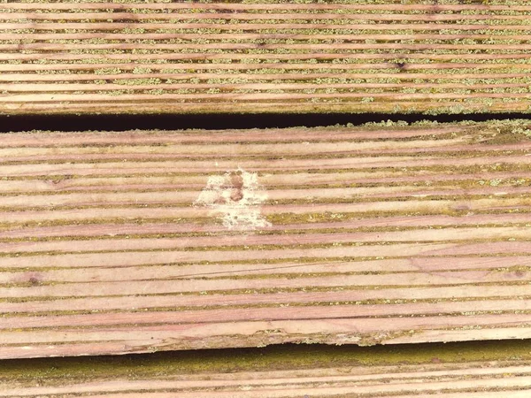 堅木張りの床の表面処理殺菌と殺虫剤シーラー. — ストック写真