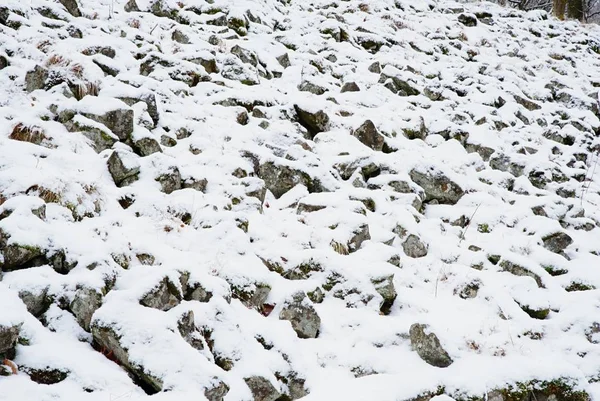 Djup melankoli. Fallna stammen på stenig kulle. Snöiga hala stenblock på kulle. — Stockfoto