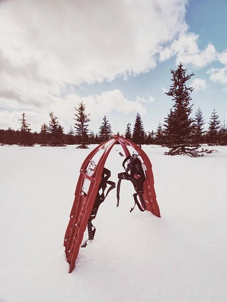 Karda Kar Ayakkabıları Kış Karlı Tepeler Dağlar Kış Ormanlar Dağlar — Stok fotoğraf