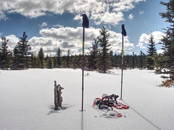 Trek Için Kış Donatım Kar Ayakkabıları Trekking Polonyalılar Toz Kar — Stok fotoğraf
