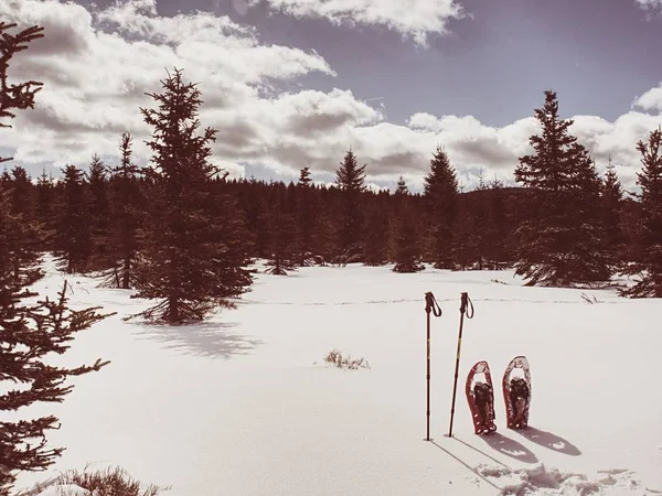 Kırmızı Kar Ayakkabıları Kar Kış Tatili Dağlarda Trekking Polonyalılar Hazır — Stok fotoğraf