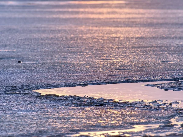 Pedaços de gelo frios brilhantes em floe de gelo transparente. Estrutura do gelo natural em foco seletivo — Fotografia de Stock