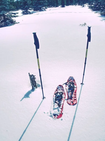 Röd snöskor och vandringsstavar redo i snö, vintersemester i fjällen. — Stockfoto