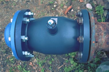 Hala karşı küresel vana yuva kapağı. Gümüş vida ve fındık ile flanşlar. 