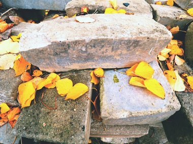 Asfalt adam yapmak için doğal taşlar ve beton bloklar