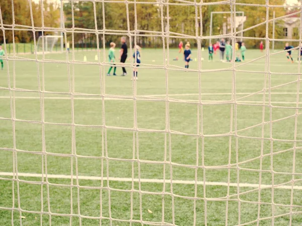 Goalie Guards Soccer Football Goal