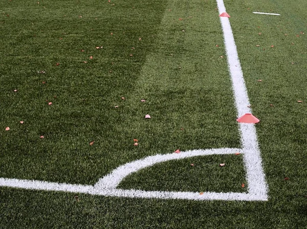 Zona de juegos, césped de plástico con las primeras hojas de colores —  Fotos de Stock