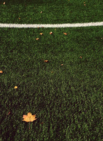 Fußballrasen. Feld mit hellgrünem Kunstrasen — Stockfoto