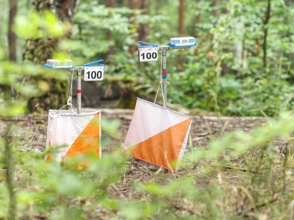 Capacitación de orientación en parques forestales. Orientación al aire libre — Foto de Stock