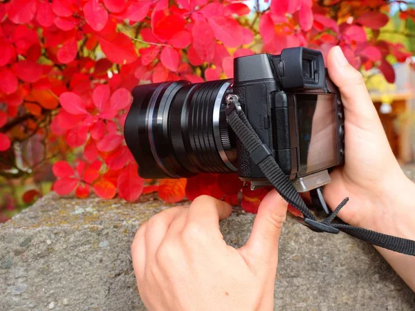 Moderna cámara sin espejo con lente profesional tomando fotos — Foto de Stock