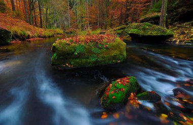 Sonbahar nehri. Büyük yosunlu kumtaşı kayaları suda yatıyordu..