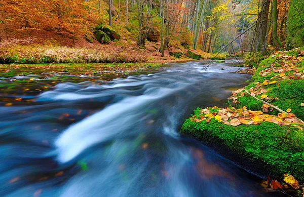 Boulders with orange dots of beeches and maple leaves — ストック写真