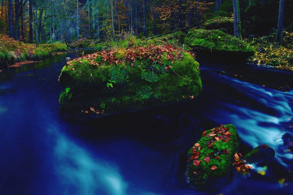 Rocas con puntos anaranjados de hayas y hojas de arce — Foto de Stock