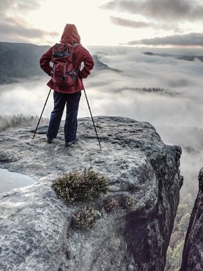 Kırmızı sırt çantalı ve yürüyüş sopalı bir yürüyüşçü. 