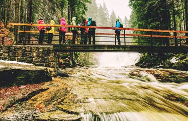 Ormanda doğa keşfi yapan üç arkadaşın yan görüntüsü..