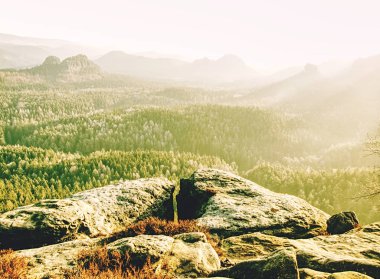 Sonbahar manzarası, tepeler ve dağlar uzakta.
