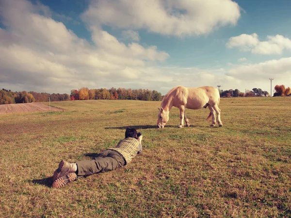 Güzel bir kadın çayırdaki atların fotoğraflarını çekiyor. — Stok fotoğraf