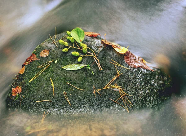 Fallen leaves and stones in water of river. Autumn colors. — Stock Photo, Image